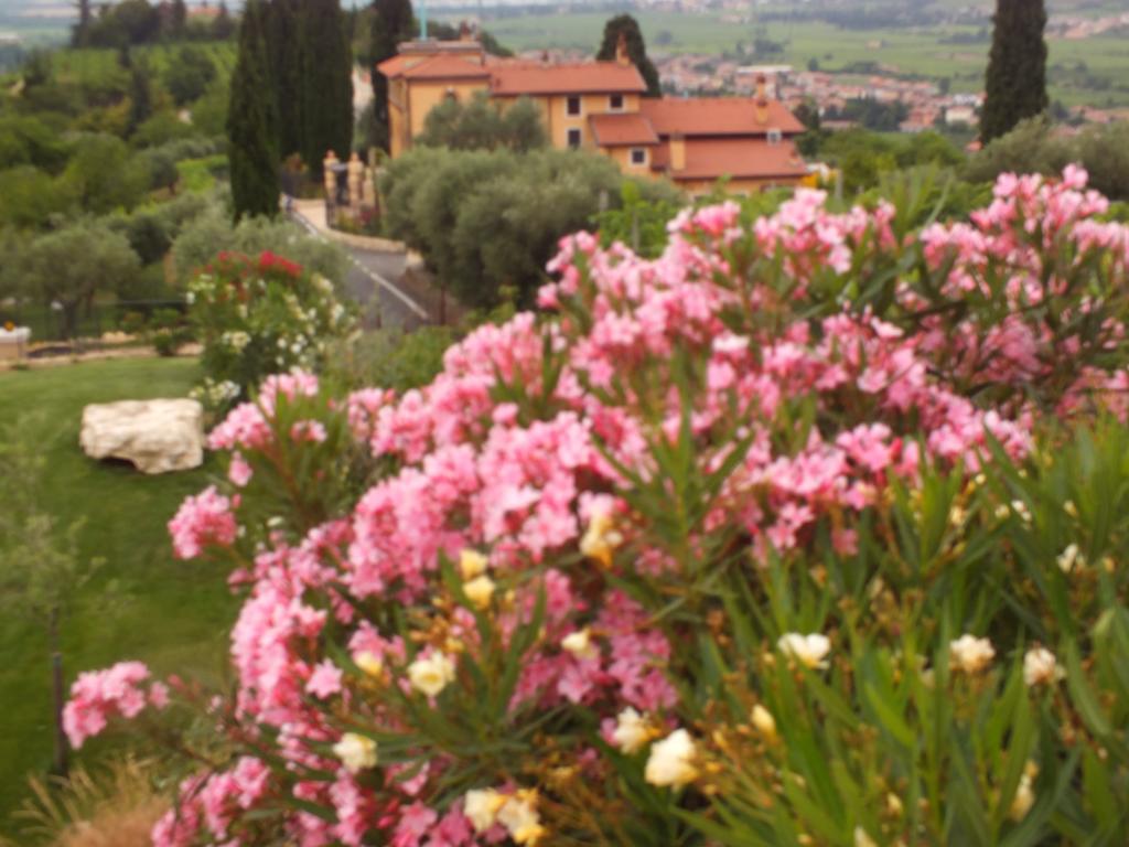 Villa Oleandri San Pietro in Cariano Rom bilde